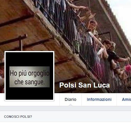 «Una pagina Facebook dedicata a Polsi offende i poliziotti morti»