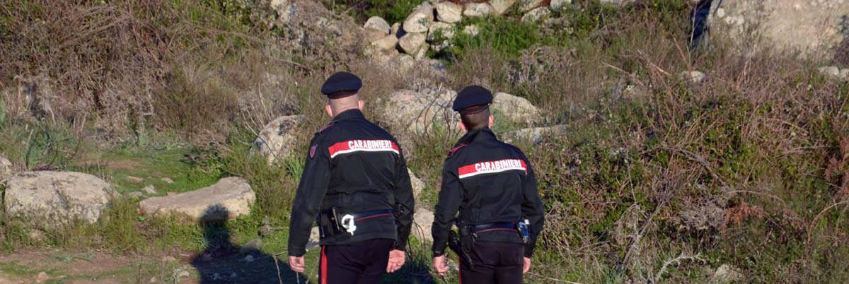 Disturba le pecore, uccide a fucilate un labrador