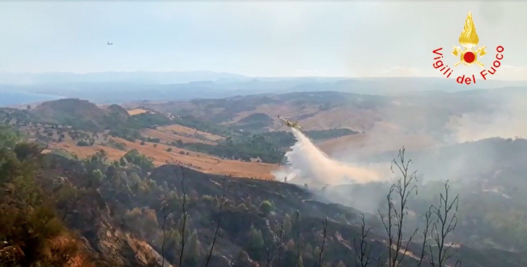 Roccella Ionica, vasto incendio distrugge 50 ettari di vegetazione. Operazioni in corso – VIDEO