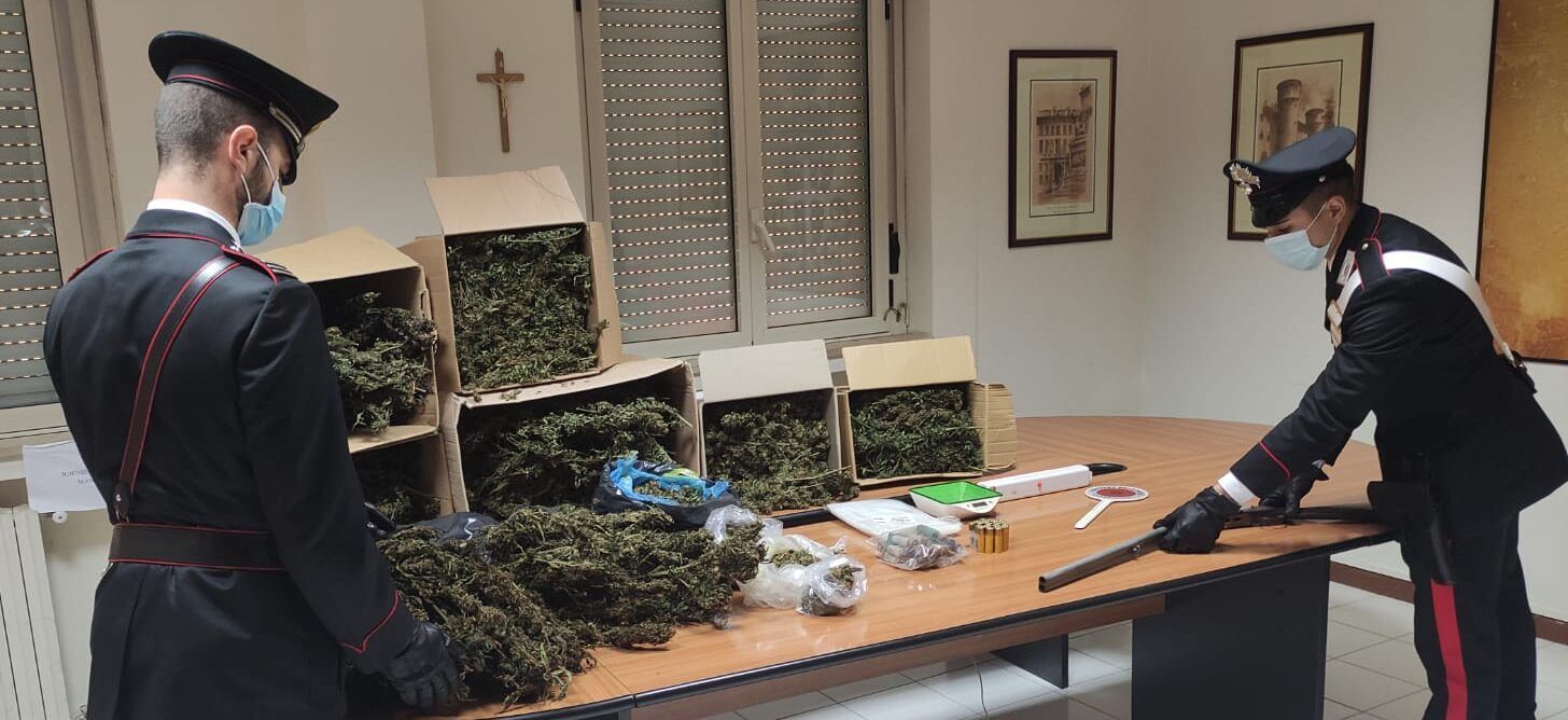 Scoperto deposito per l’essiccazione della marijuana a Jacurso, 2 arresti