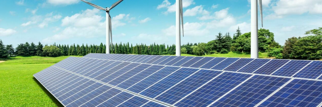 Bankitalia: le mafie allungano i tentacoli sulle rinnovabili