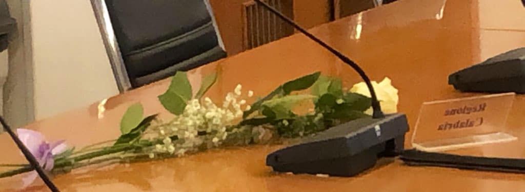 Conferenza delle Regioni, una rosa al posto di Jole Santelli