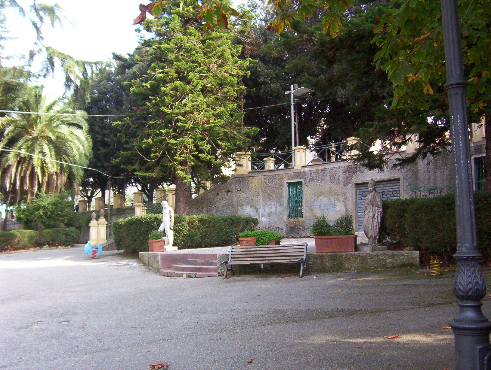 Cade un albero, ferito un operaio