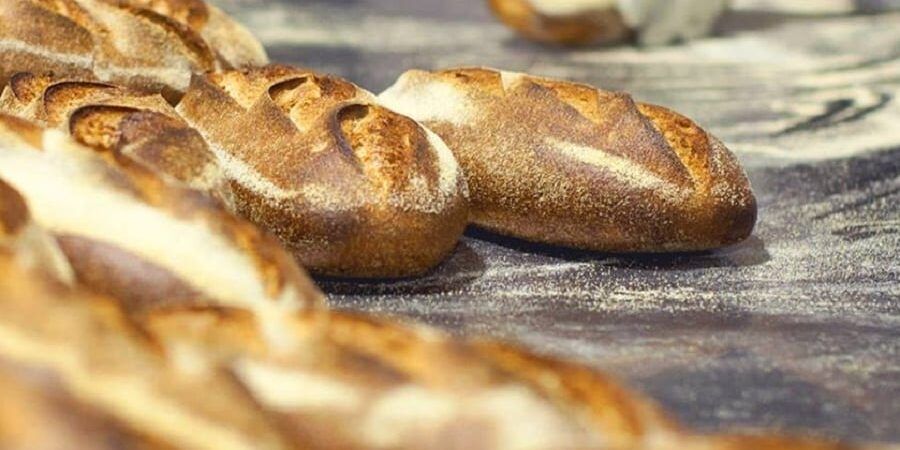 Aumenta il prezzo del grano. I panifici: «Stiamo pensando di fermare la produzione»