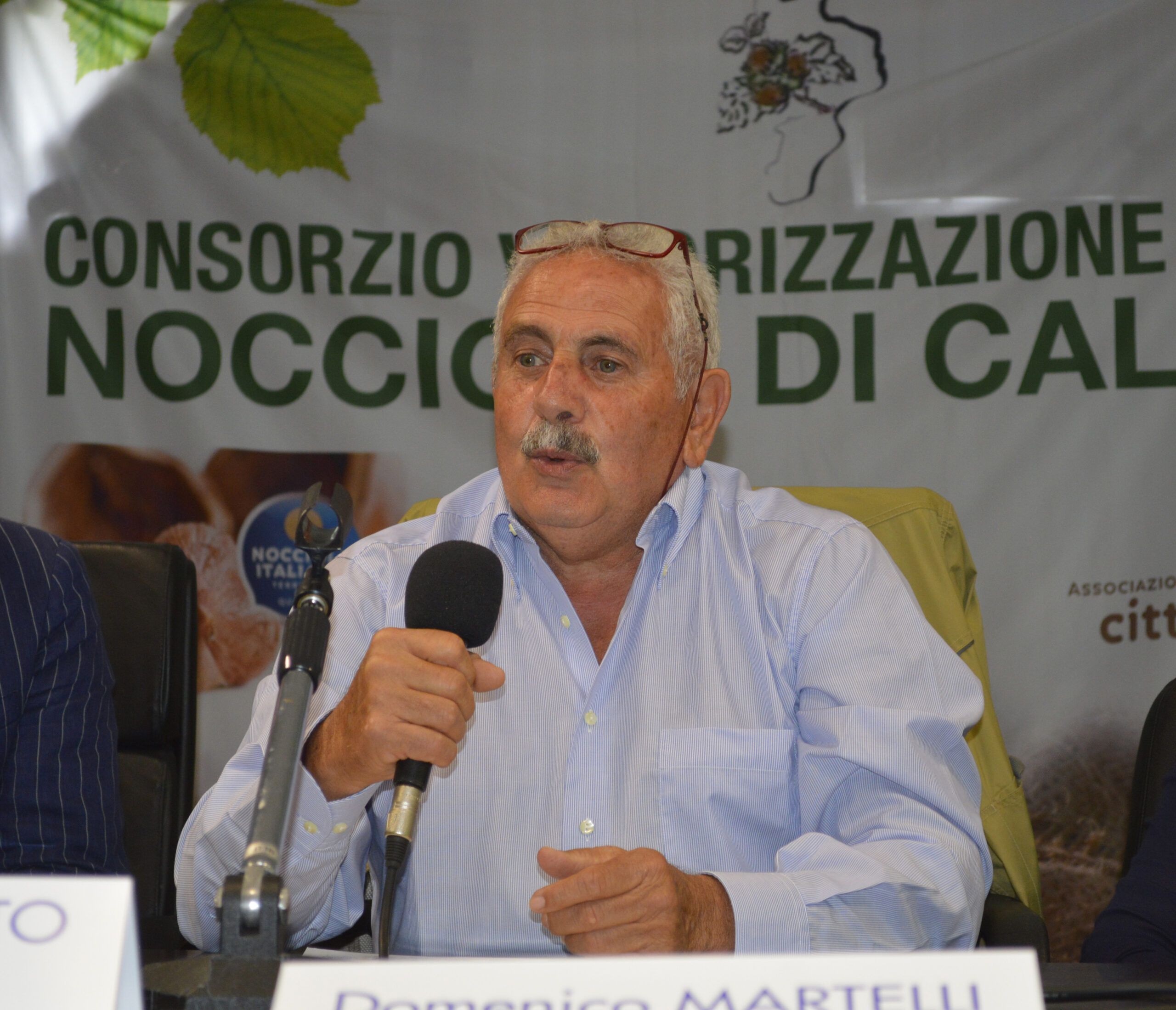 Domenico Martelli è il vicepresidente del Consorzio Valorizzazione e Tutela Nocciola di Calabria