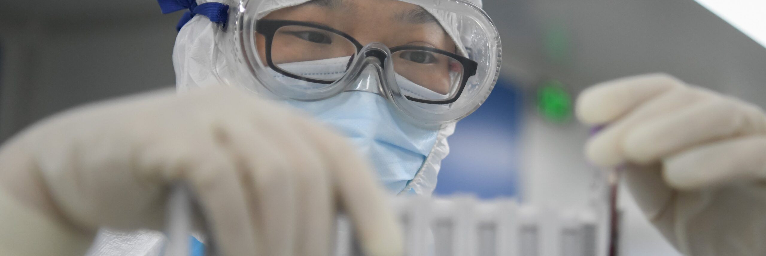 Scoperto in Cina un nuovo coronavirus, si trasmette dai pipistrelli