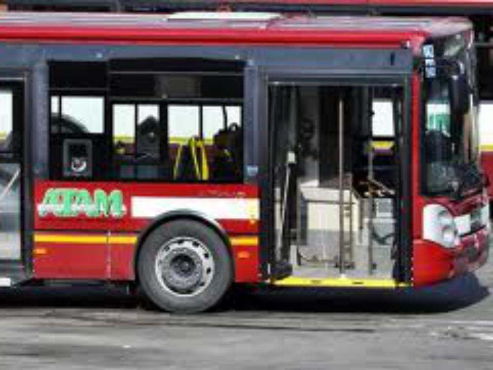False licenze ai bus, al vaglio la richiesta di patteggiamenti e riti abbreviati