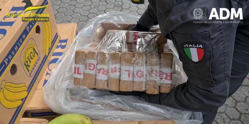 alleanza parallela 'ndrangheta narcotraffico