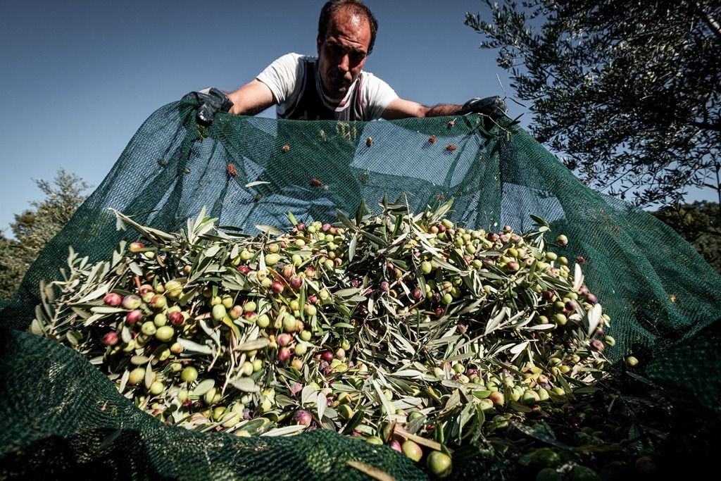Identità territoriale, evento di “Terre Rugiani” sabato a Roggiano