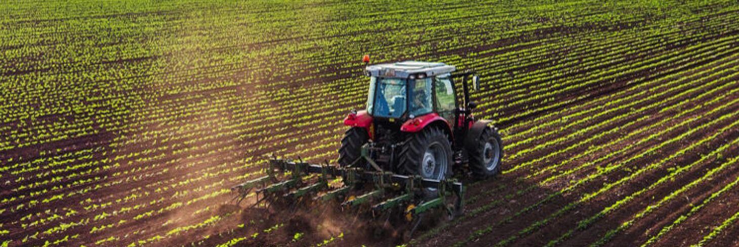 Confagricoltura: «Quadro economico preoccupante»