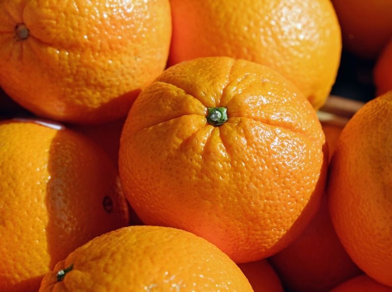 Agrumi, Confagricoltura: «Patologie importate minacciano il patrimonio nazionale»