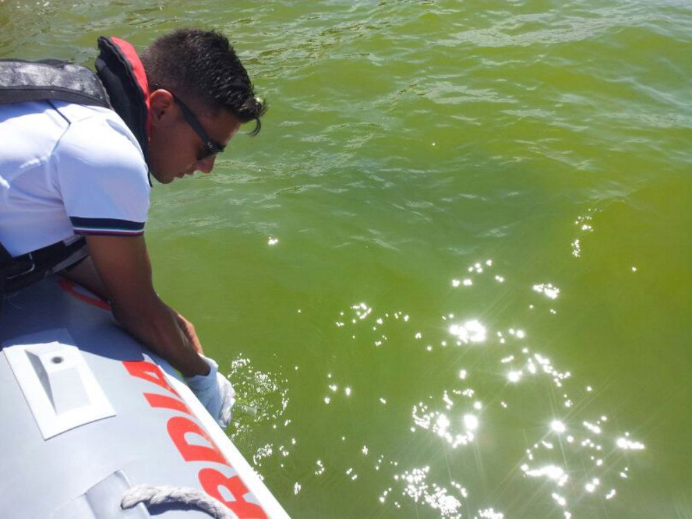 Diamante, acque balneabili In mare solo fioriture algali