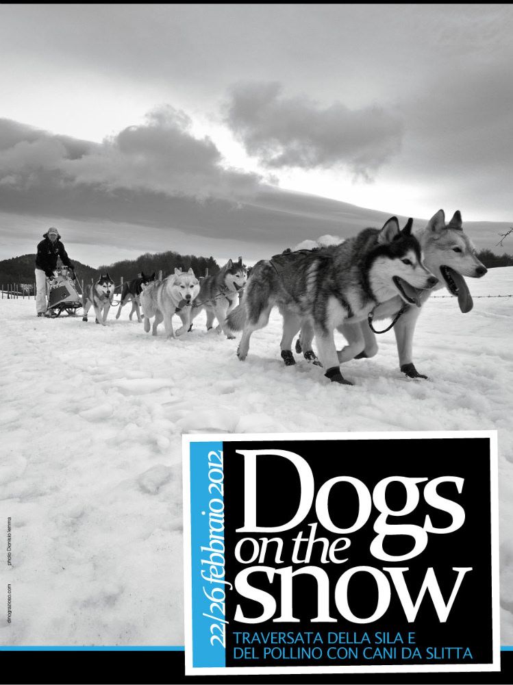 La traversata della Sila con i cani da slitta