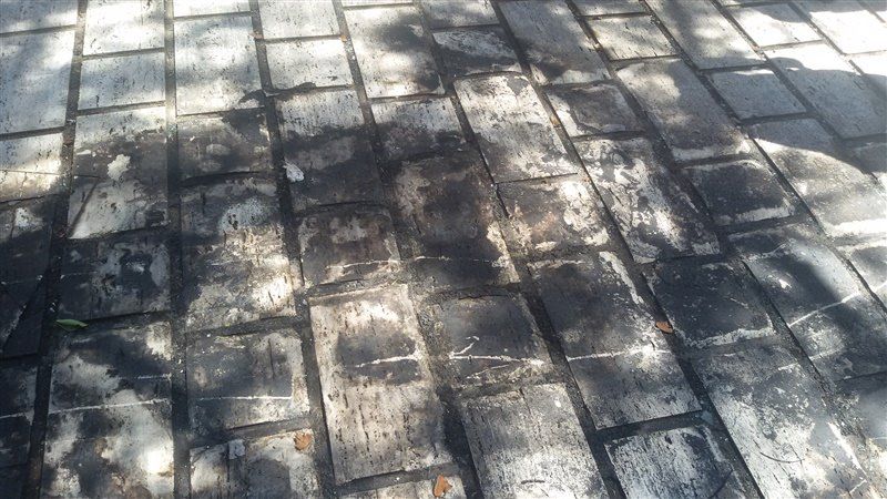 Bova: «Ho denunciato la degenerazione della politica»