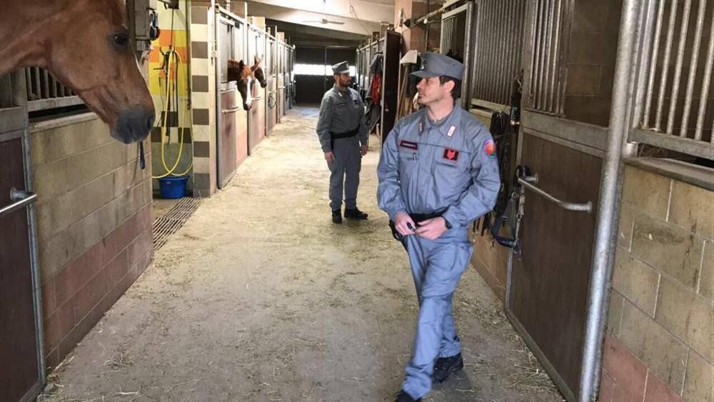 Stalliere torturato in Piemonte, in manette un crotonese