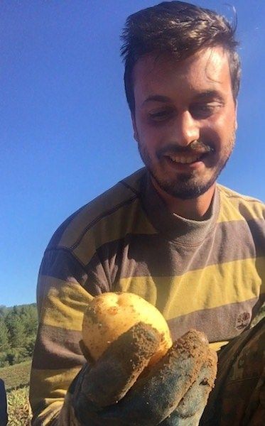 Da Londra in Sila, la storia di Lorenzo e della sua azienda