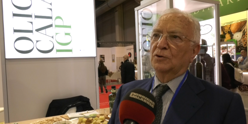 Massimino_magliocchi