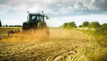 «Necessario prorogare il Bando SRD13 per garantire equità e tutela del comparto agricolo»