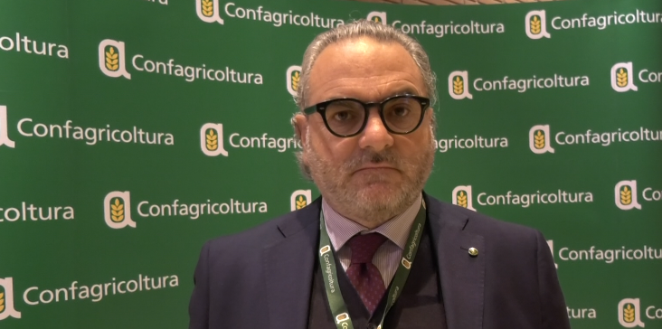 Vitivinicoltura, Statti: «Fondamentale utilizzare tutti i fondi»