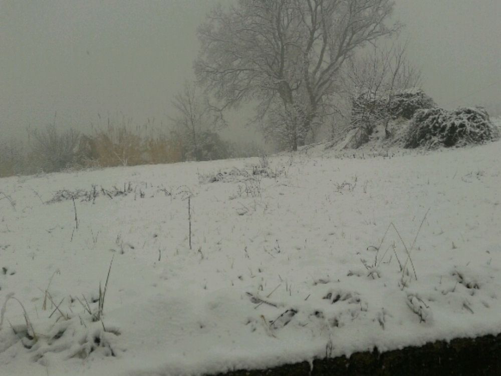Calabria sotto la neve. Imbiancate Cosenza e provincia