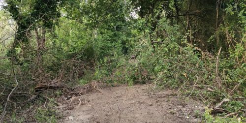 lattughelle crati cassano