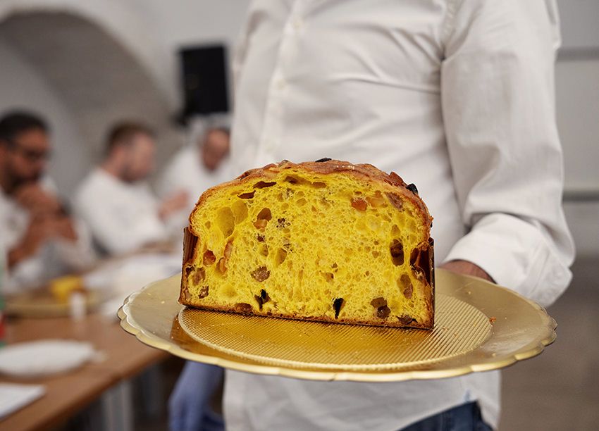Il miglior panettone? Si fa in Puglia. Premiata anche la Calabria