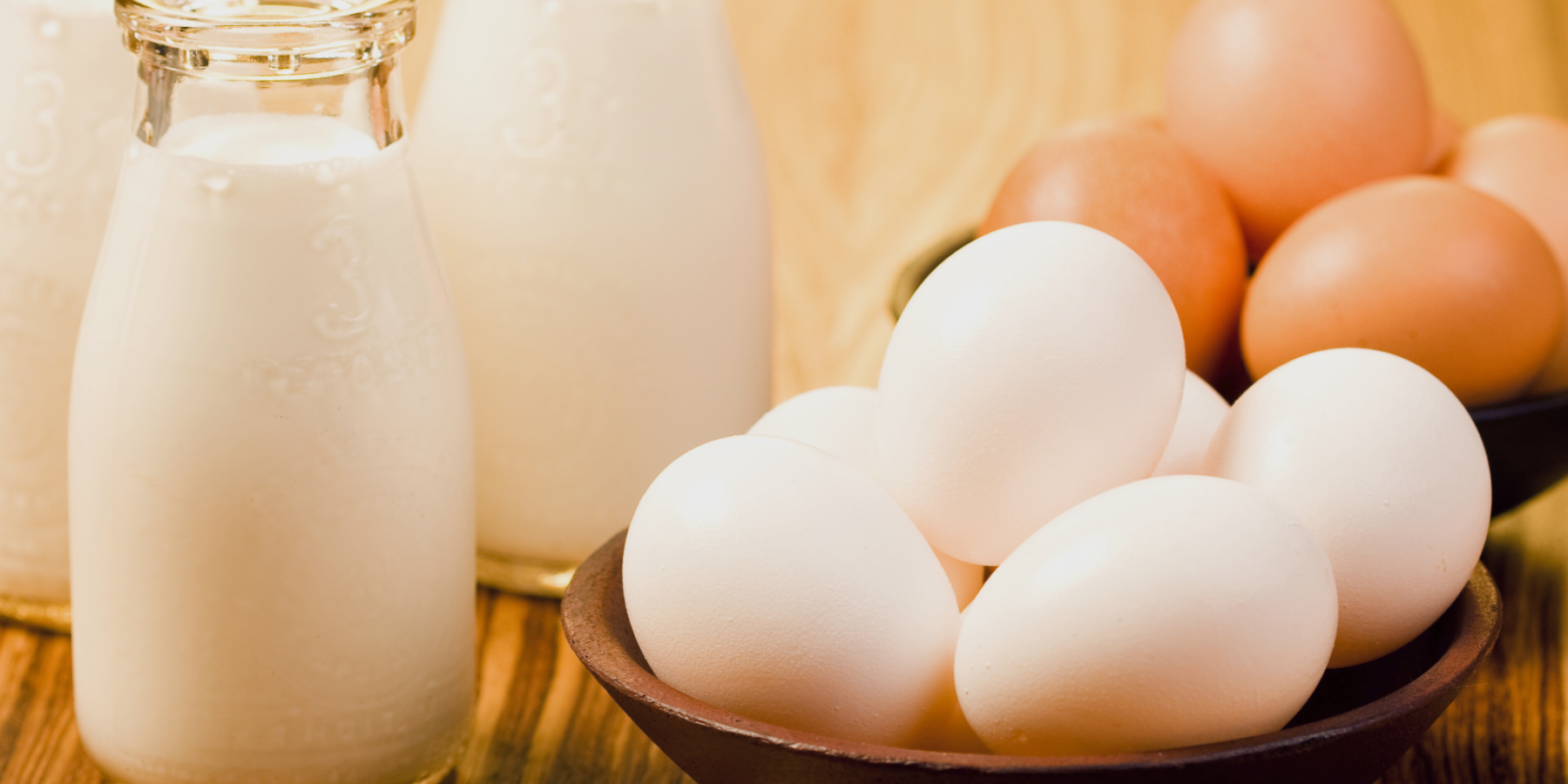 Imponevano i fornitori di latte e di uova: il diktat dei Labate ai commercianti di Reggio