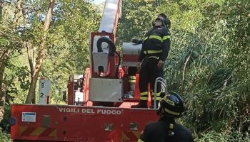 Fiumefreddo Bruzio, recuperato un parapendista rimasto incastrato sulla cima di un albero