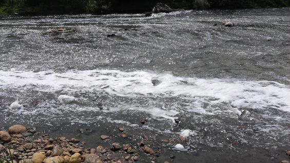 «Aria irrespirabile nei pressi del depuratore»