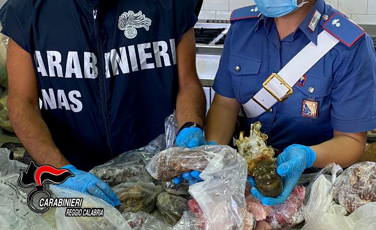 Controlli dei Nas nel Reggino, accertate irregolarità in 81 locali. Chiusi 2 centri per anziani e uno per bambini