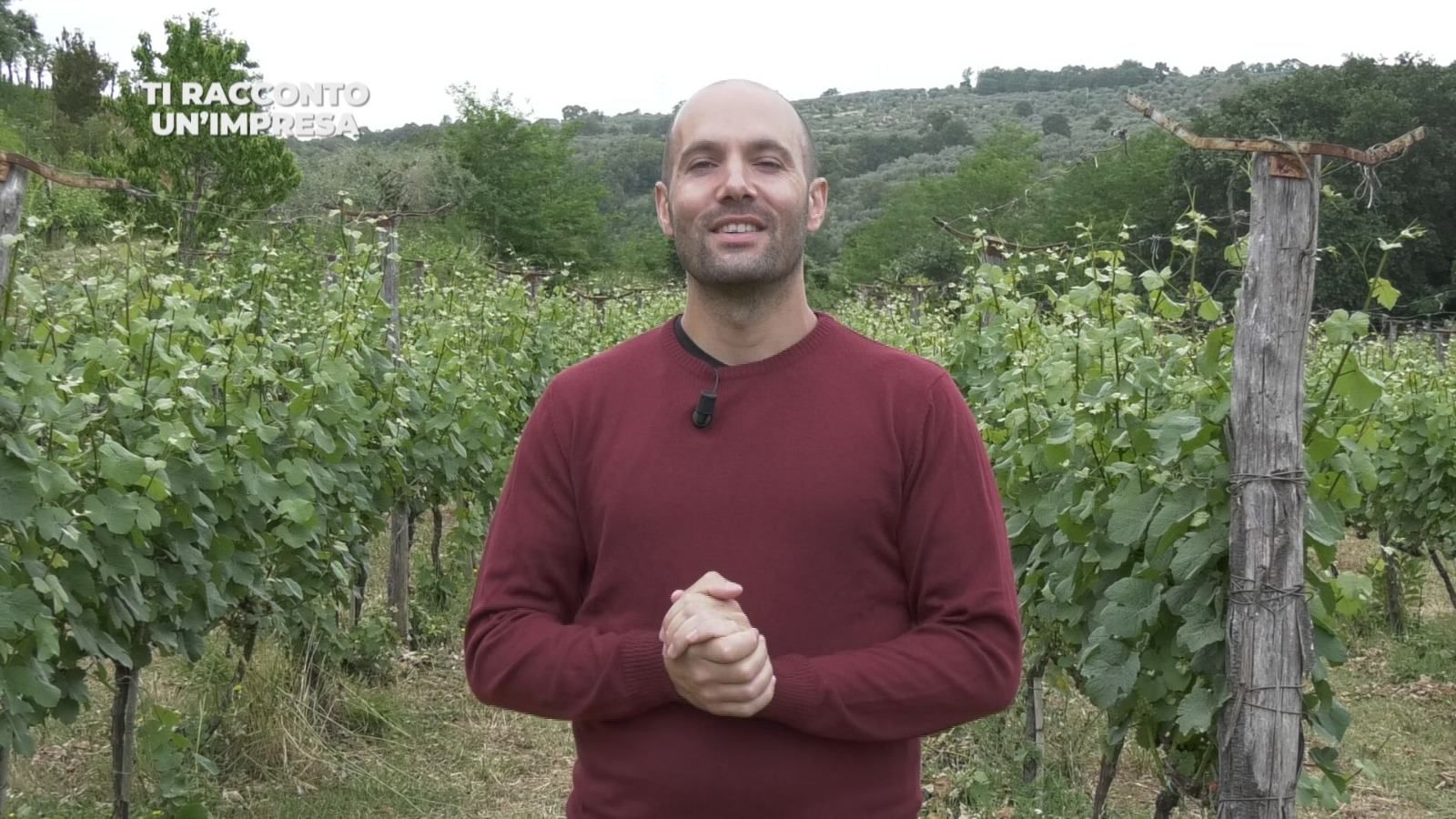 Pizzo, la “via dello zibibbo” porta dritta alle Cantine Benvenuto