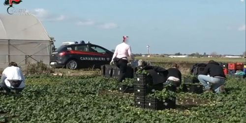 clandestini piana sibari
