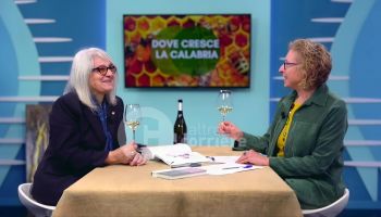 Il vino che racconta la Calabria: storie, donne ed enoturismo – VIDEO