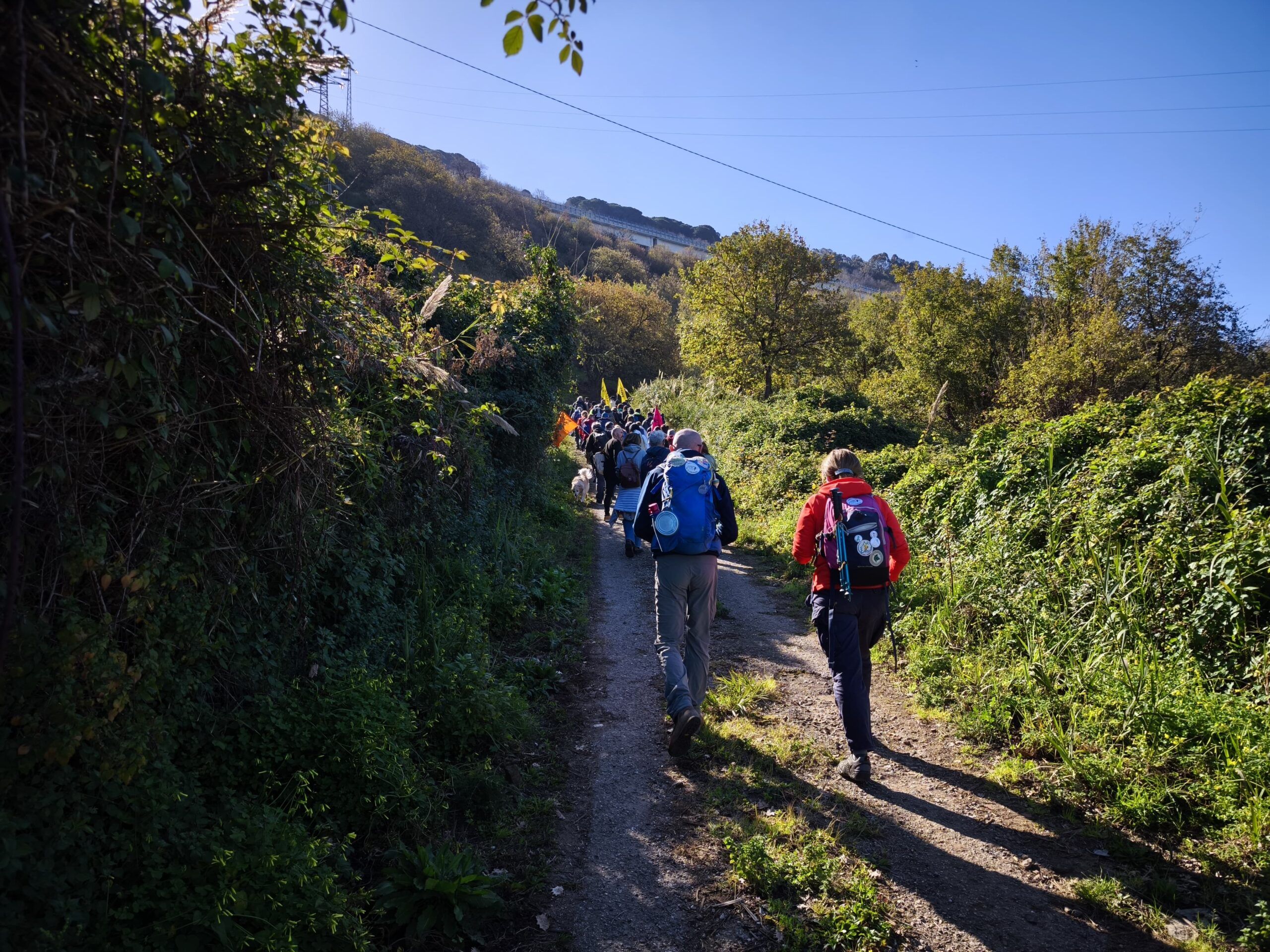 «Raccontiamo una Calabria diversa e resistente alla ‘ndrangheta». Il trekking di Libera a Pizzo – FOTO