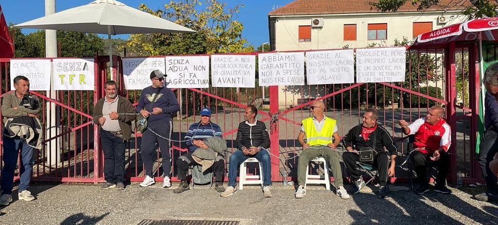 Consorzio di Bonifica di Trebisacce, lasciano nove consiglieri su 16