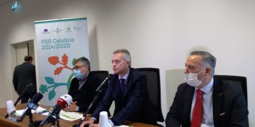 giovinazzo gallo siviglia psr arcea