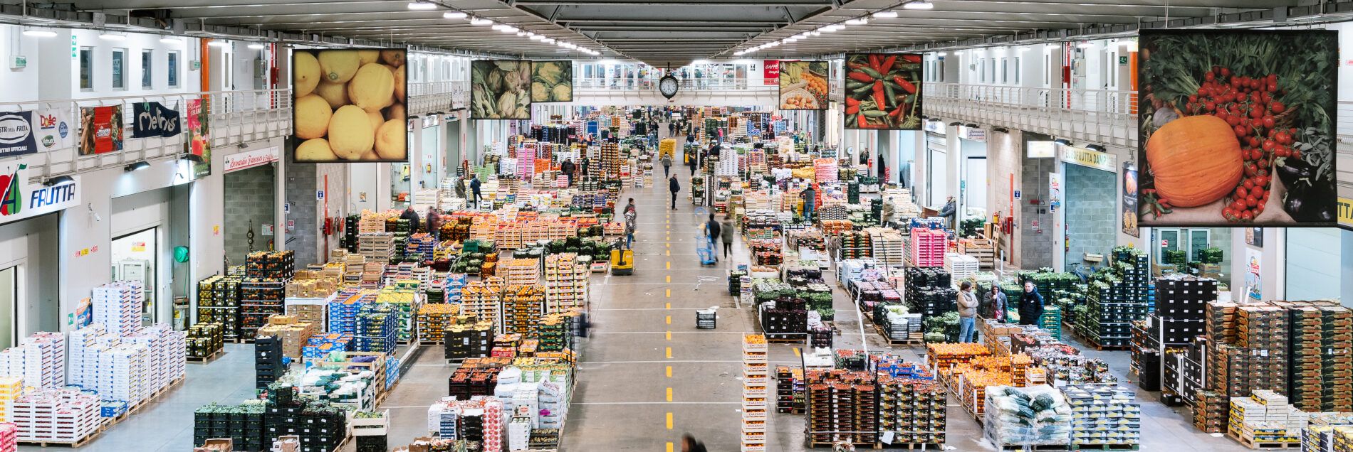 Commercio internazionale, Confagricoltura: «Pesano le tensioni Usa-Cina»