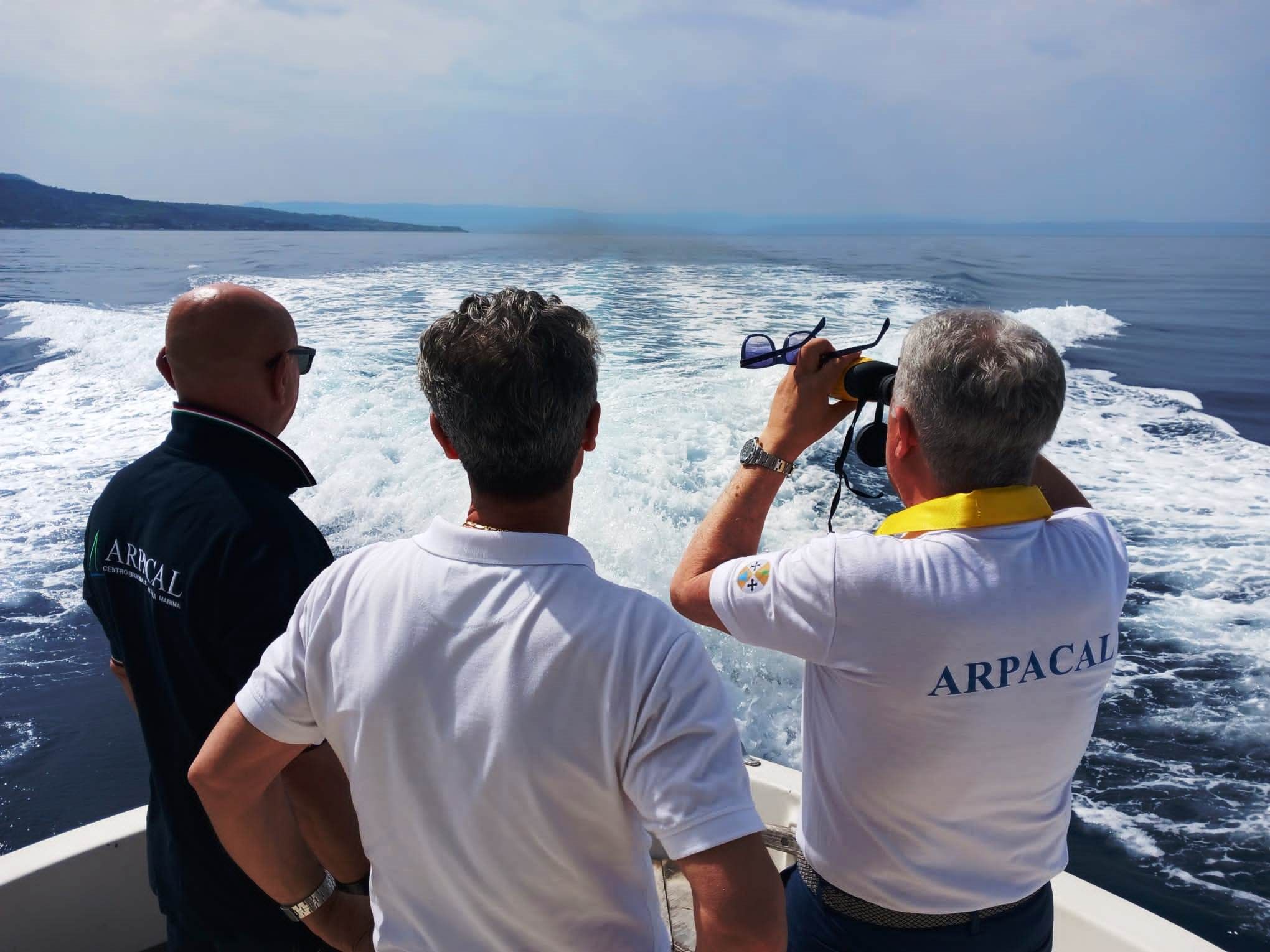 «Il mare della Calabria è vivo, balneabile e gode di buona salute»