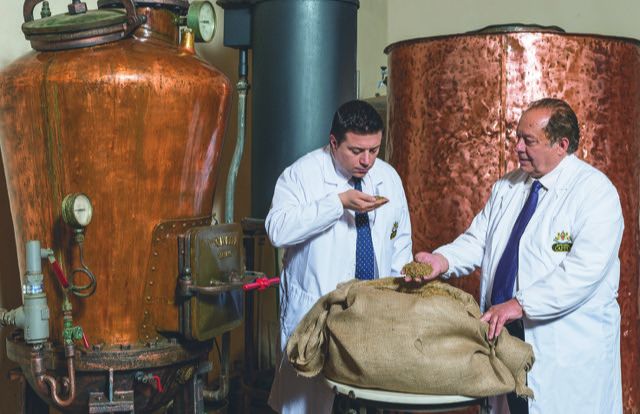 Caffo acquisisce anche la friulana Mangilli