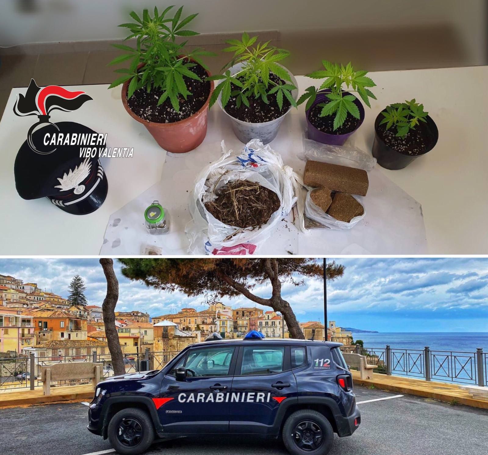 Pizzo, a casa marijuana, hashish e cannabis: ai domiciliari un 25enne