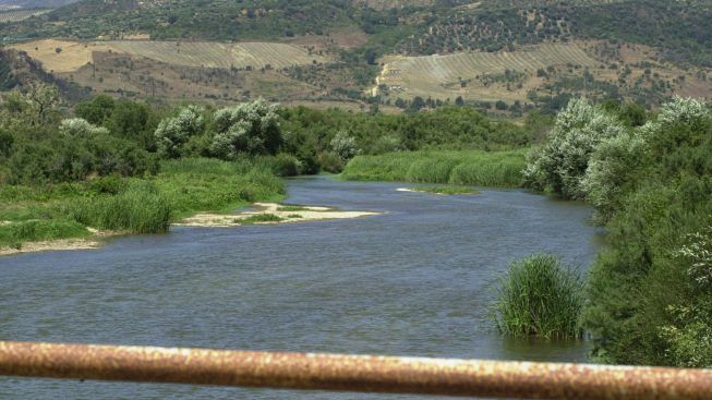 Sorpreso a prelevare inerti dal fiume Neto, denunciato dai forestali