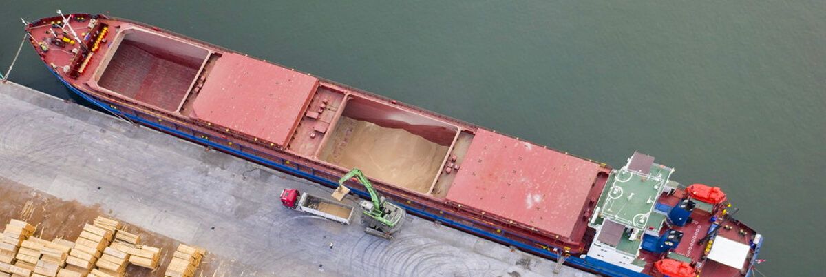 Giansanti: «Il mancato accordo sul grano favorisce instabilità e speculazione»