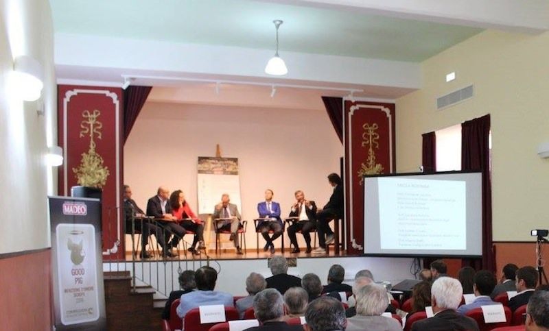 Malattie suine, una task force per rendere la Calabria immune