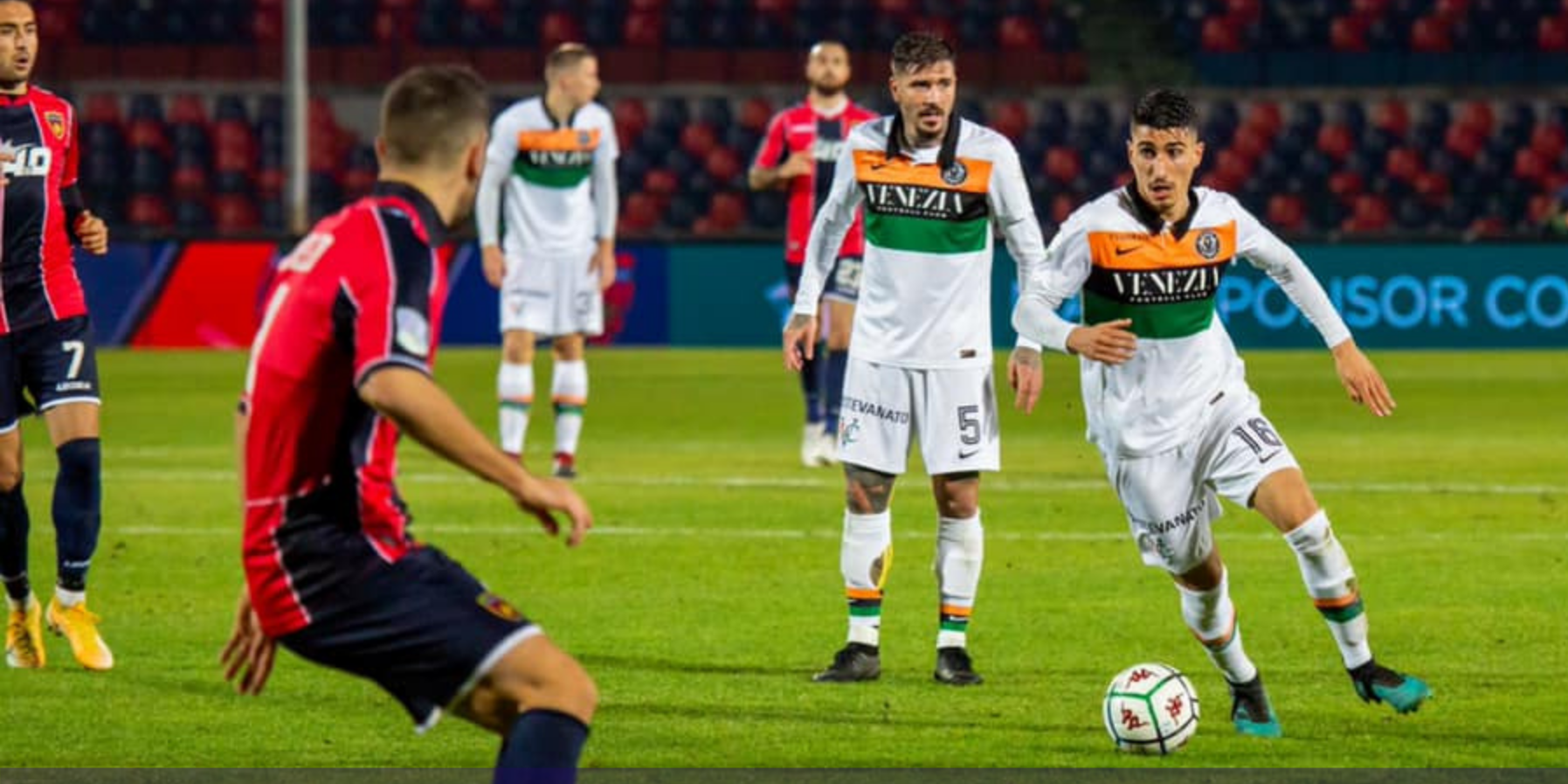 Lupi bastonati a Venezia