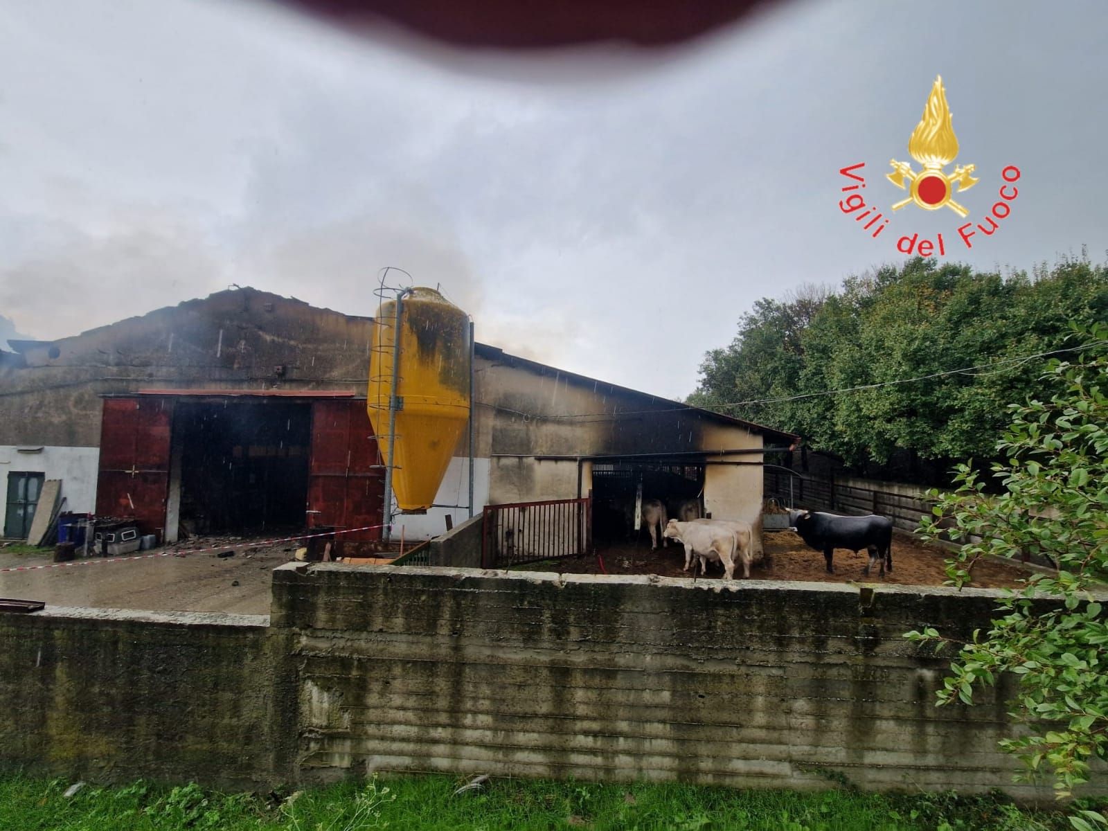 Catanzaro, un fulmine si abbatte su un magazzino agricolo: distrutte attrezzature e animali morti. Due feriti – FOTO E VIDEO