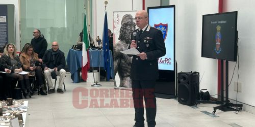 cc forestali bilancio calabria 3