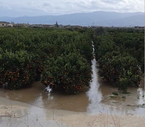 Corigliano Rossano, esonda ancora il Crati: evacuate alcune famiglie – VIDEO