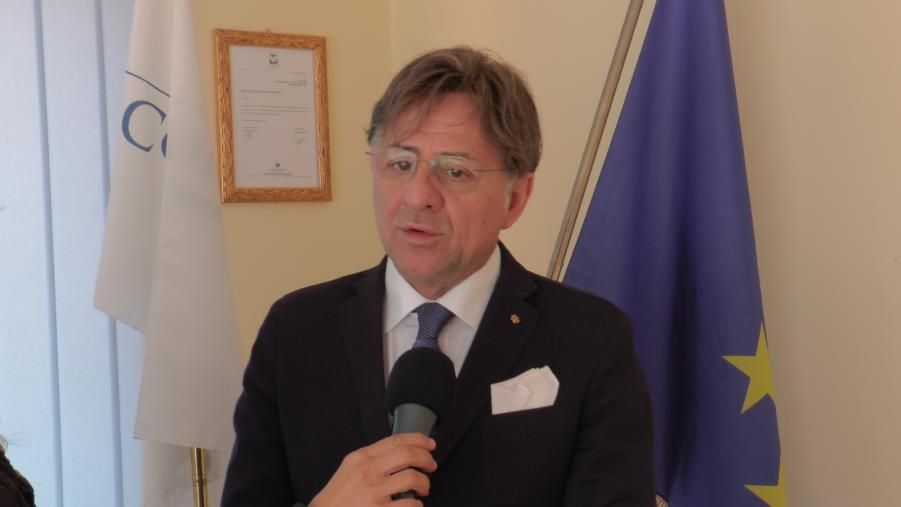 Camera di Commercio della Calabria centrale, Falbo alla guida