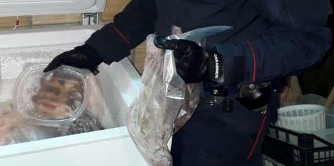 Oltre 200 ghiri in un freezer a Delianuova, fermate 3 persone