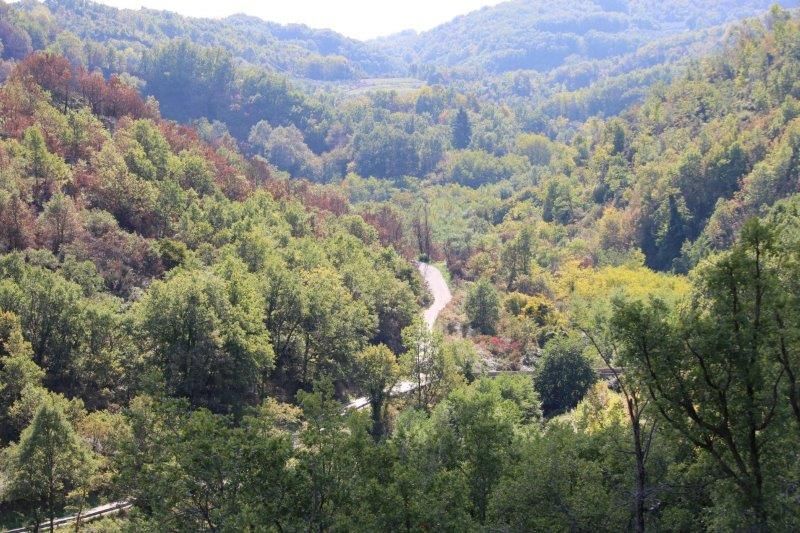 «Un parco naturalistico a sud del Comune di Cosenza»